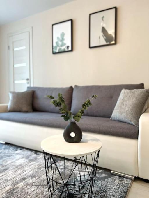 New Modern Apartments In The City Center 나르바 외부 사진