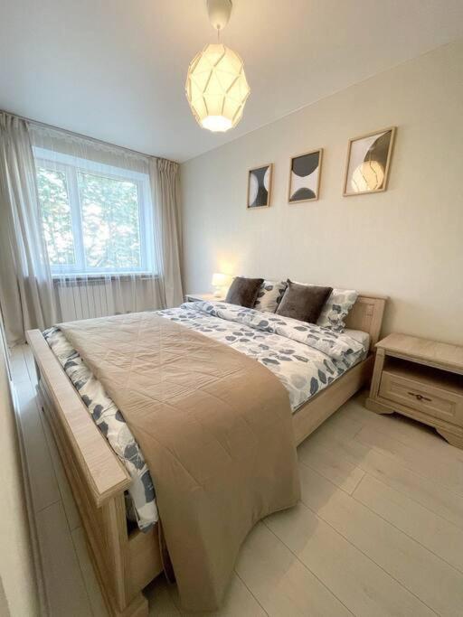 New Modern Apartments In The City Center 나르바 외부 사진